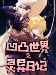 深入了解 Pr九天狐